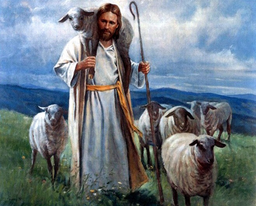 Good shepherd